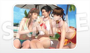 DEAD OR ALIVE Xtreme Venus Vacation ブランケット レイファン・ヒトミ・紅葉 (キャラクターグッズ)