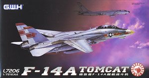 Grumman F-14A Tomcat (Plastic model)