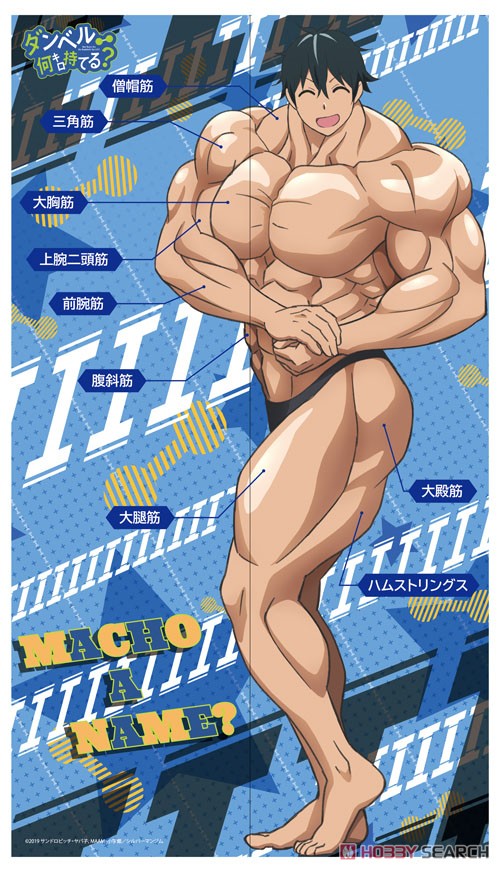 How Heavy Are the Dumbbells You Lift? Multi Tapestry Noren (Anime Toy) Item picture1