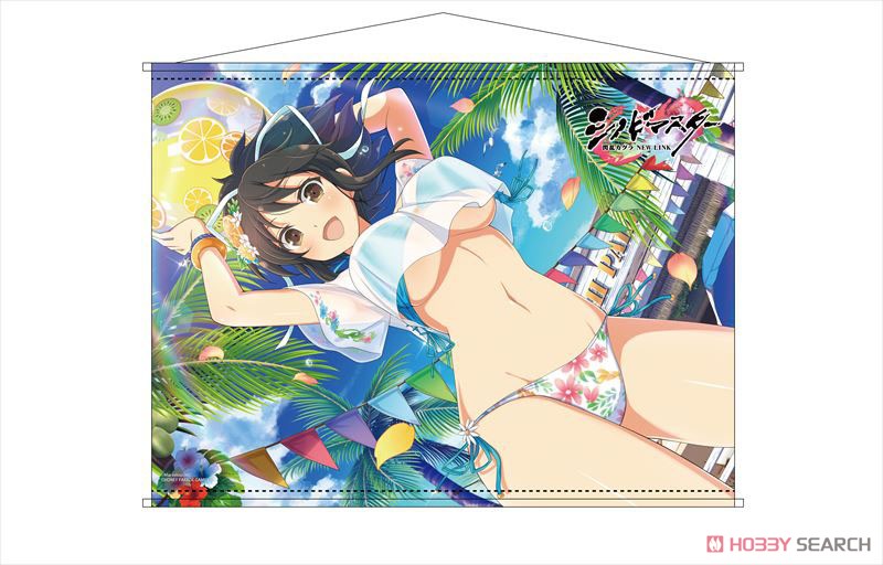 Shinovi Master Senran Kagura New Link B2 Tapestry Asuka (Anime Toy) Item picture1