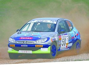 Peugeot 206 XS 2006 Rallye Terre des Cardabelles 1st Place #50 S.Ogier / J.Ingrassia (Diecast Car)