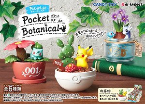 Pokemon Pocket Botanical (Set of 6) (Shokugan)