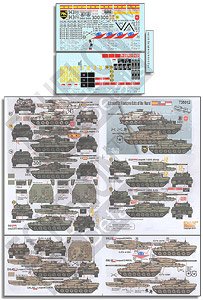 Leopard 2s:Fearsome Cats of the Wold (Decal)
