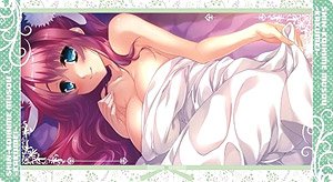 Nexton Girls Rubber Mat Vol.021 Shin Koihime Musou [Ryubi/Toka] (Card Sleeve) (Card Supplies)