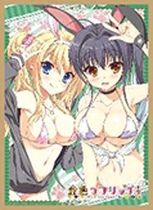 Nexnet Girls Sleeve Collection Vol.120 Kiniro Loveriche [Reina & Ayaka] (Card Sleeve)