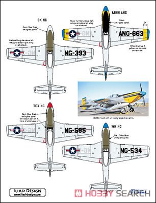 P-51D 「米空軍州兵」 2 (デカール) その他の画像2