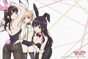 Bushiroad Rubber Mat Collection Vol.572 Saekano: How to Raise a Boring Girlfriend Flat [Megumi & Eriri & Utaha] Part.2 (Card Supplies)