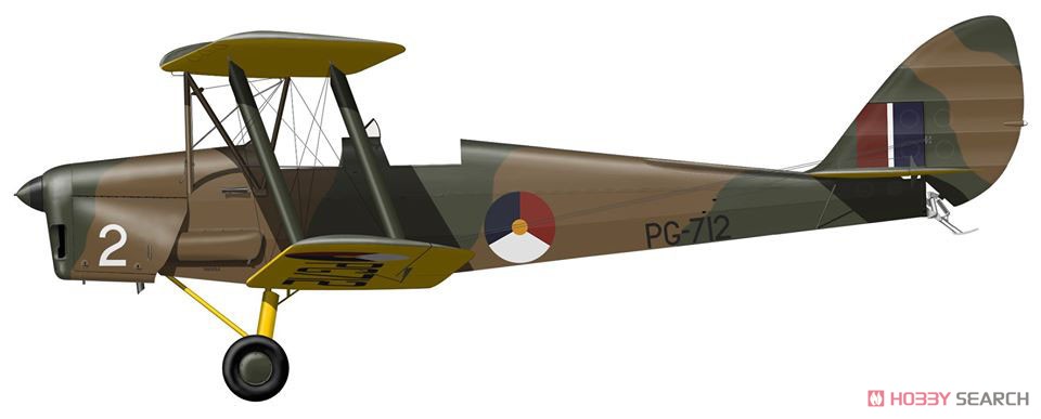 De Havilland D.H.82A Tiger Moth (Plastic model) Color5