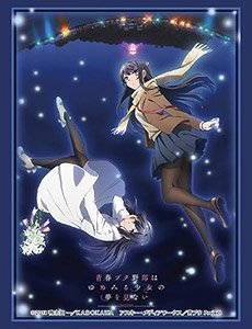 Bushiroad Sleeve Collection HG Vol.2378 Rascal Does Not Dream of a Dreaming Girl [Mai & Shoko] (Card Sleeve)