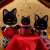 Starry sky Cat Family (Sylvanian Families) Other picture2