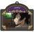 Code Geass Lelouch of the Re;surrection Trading Rubber Key Ring (Set of 9) (Anime Toy) Item picture1