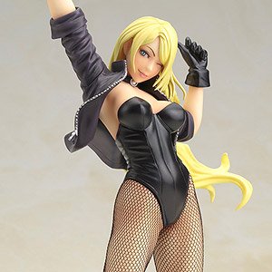 DC Comics Bishoujo Black Canary 2nd Edition (Completed)
