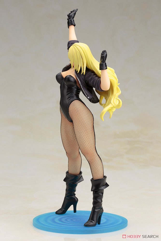 DC Comics Bishoujo Black Canary 2nd Edition (Completed) Item picture4