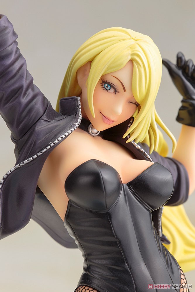 DC Comics Bishoujo Black Canary 2nd Edition (Completed) Item picture7