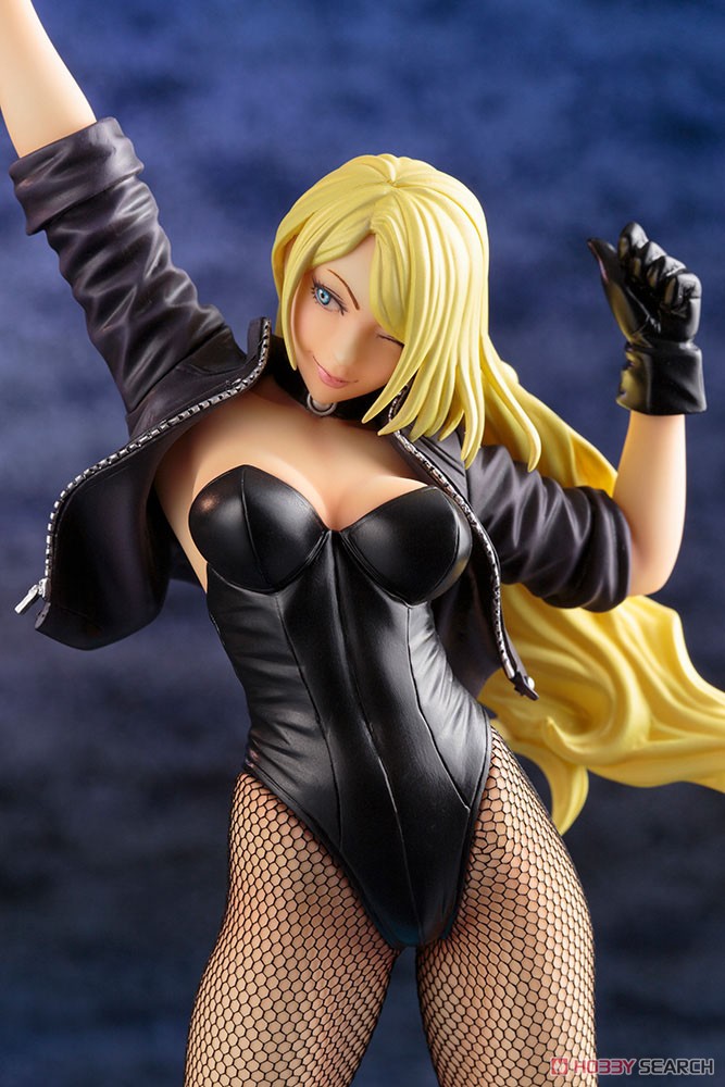 DC Comics Bishoujo Black Canary 2nd Edition (Completed) Item picture8