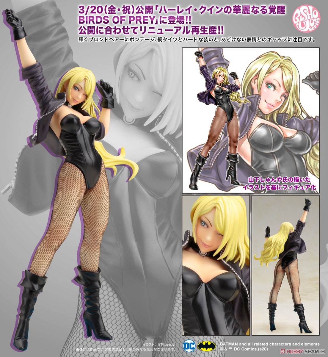 DC Comics Bishoujo Black Canary 2nd Edition (Completed) Item picture9