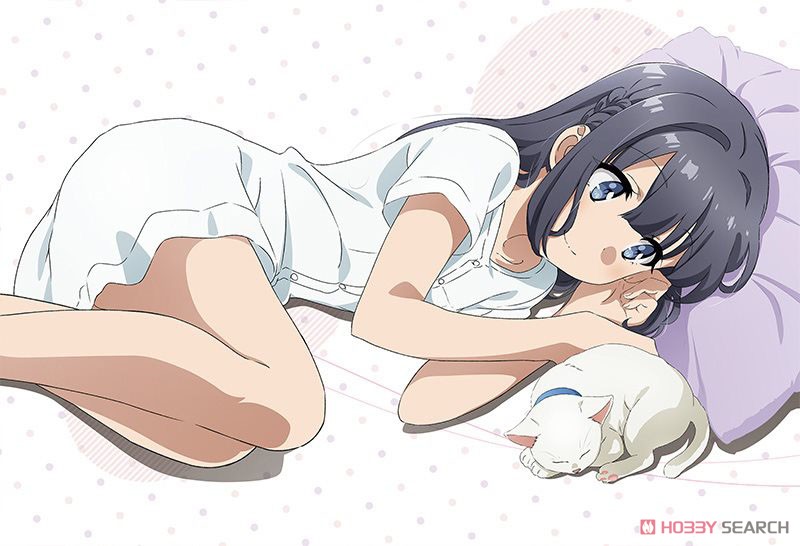 [Rascal Does Not Dream of a Dreaming Girl] Pillow Cover (Shoko Makinohara) (Anime Toy) Item picture1
