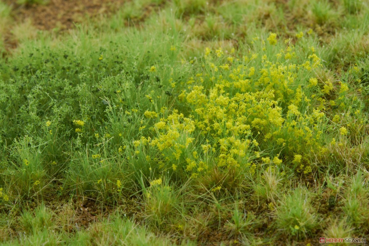 Mat Rough Meadow Weeds 4.5mm High Spring (Plastic model) Item picture4