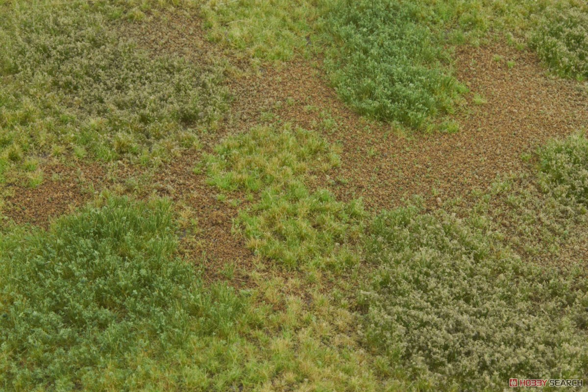 Mat Rough Meadow Weeds 4.5mm High Late Summer (Plastic model) Item picture3