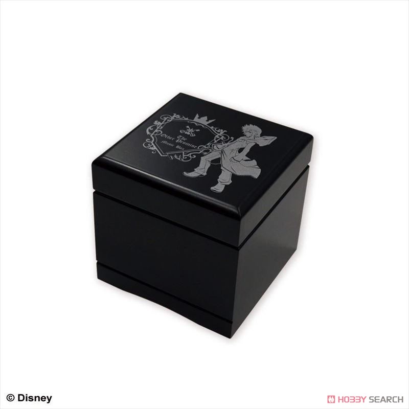 Kingdom Hearts Music Box The Other Promise (Anime Toy) Item picture1