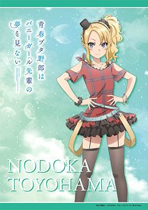 Rascal Does Not Dream of Bunny Girl Senpai Multi Cloth (6) Nodoka Toyohama (Anime Toy)