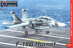F-18B Hornet (Plastic model)