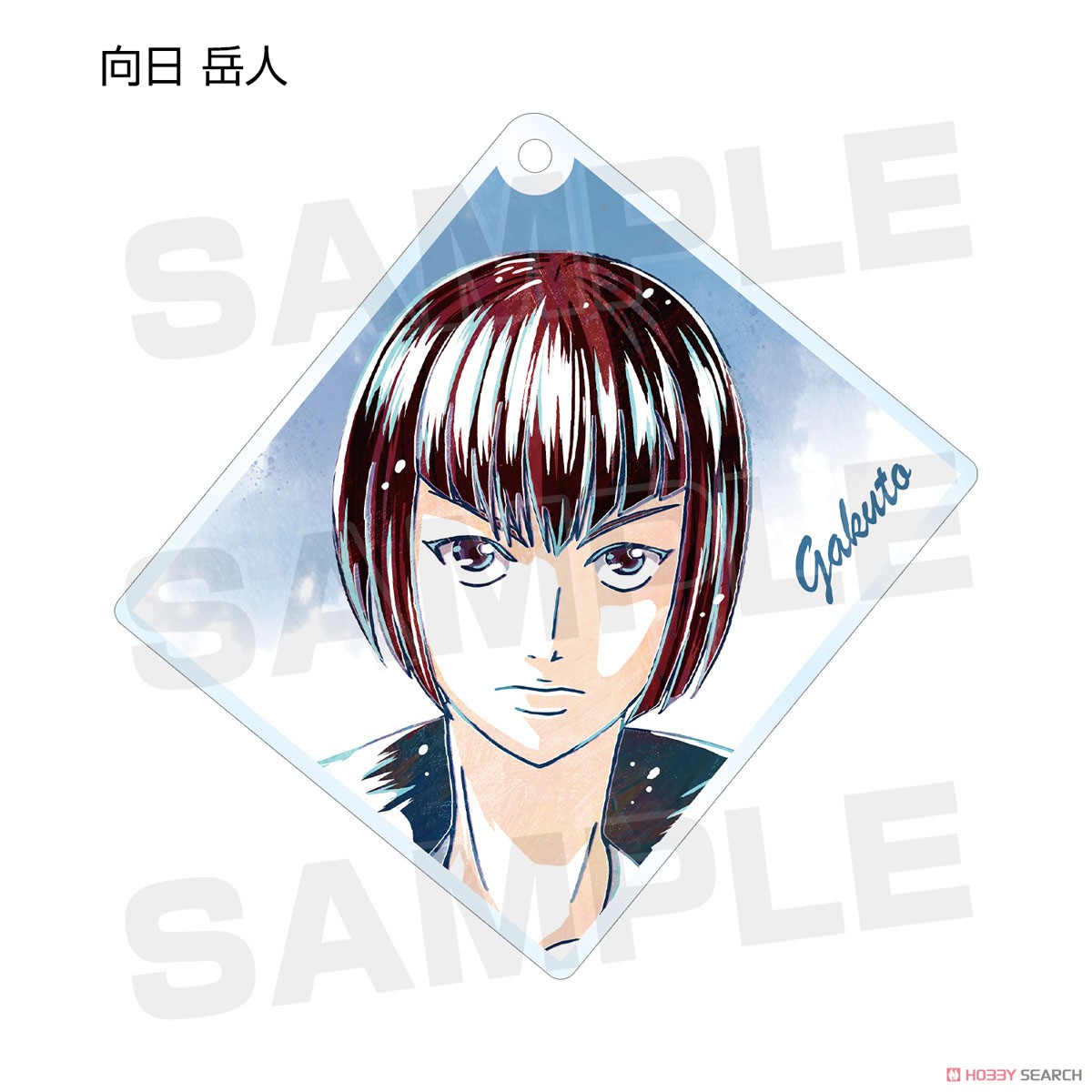The New Prince of Tennis Trading Ani-Art Acrylic Key Ring Hyotei (Set of 9) (Anime Toy) Item picture4