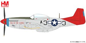 P-51K マスタング `テイル・イン・ザ・サドル` (完成品飛行機)