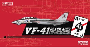 US Navy F-14A VF-41 `Black Aces` (Plastic model)