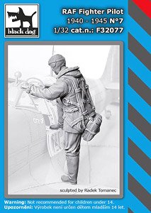 RAF Fighter Pilot 1940-45 No.7 (Plastic model)