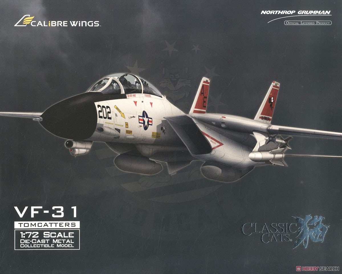 F-14A アメリカ海軍 VF-31 トムキャッターズ AE202 No.161858 (完成品飛行機) パッケージ1