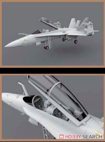 F/A-18A/C/D VFC-12 & VFA-204 Aggressor (Plastic model) Other picture1