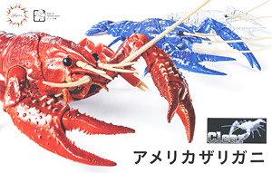 Biology Edition Crayfish (Clear) (Plastic model)