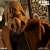 ONE:12 Collective/ Planet of the Apes: Dr. Zaius 1/12 Action Figure Deluxe Edition (Completed) Other picture4