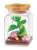 Kirby`s Dream Land Terrarium Collection Pupupu Seasons (Set of 6) (Anime Toy) Item picture3