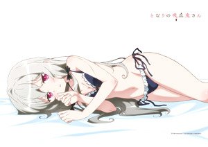 Ms. Vampire who Lives in My Neighborhood. [Especially Illustrated] Sophie Long Sideways B2 Tapestry (Anime Toy)