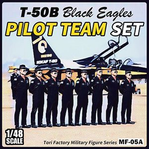 T-50B Black Eagles Pilot Team Set (Plastic model)