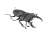 Insect Hunter Beetle x Stag Beetle Japanese insec Do your best...Japanese insect! (Shokugan) Item picture4
