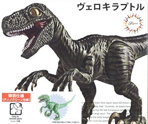 Dinosaur Edition Velociraptor Special Edition (Type Dino Green) (Plastic model)