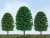 92035 (HO) HO Scale Scenic Tree 3`` to 4`` (24 Pieces) (Model Train) Other picture3