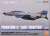 JASDF F-4EJ Kai Phantom II 301SQ 2020 Special Marking `Phantom Forever 2020` (Plastic model) Package1