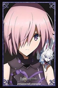 Bushiroad Sleeve Collection HG Vol.2503 Fate/Grand Order - Absolute Demon Battlefront: Babylonia [Character Visual Mash Kyrielight Ver.] (Card Sleeve)