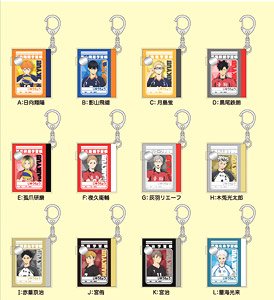 Haikyu!! To The Top Minimini Study Book Acrylic Key Ring Collection (Set of 12) (Anime Toy)