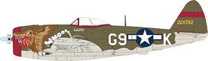 P-47D バブルトップ スーパー44 (プラモデル)