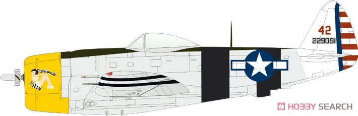 P-47D バブルトップ スーパー44 (プラモデル) 塗装5