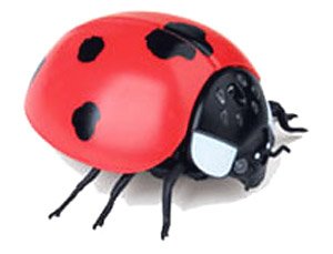 R/C Ladybug (RC Model)