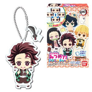 Demon Slayer: Kimetsu no Yaiba All Focus! Mitsumete Acrylic Charm (Set of 8) (Shokugan)