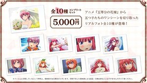 The Quintessential Quintuplets Scene Photo (Set of 10) (Anime Toy)