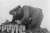 独 武装SS突撃砲搭乗員セット 「最終命令」 ハリコフ1943 (3体セット) (プラモデル) その他の画像4