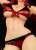 Erza Scarlet Swimsuit Gravure_Style/Ver. Honoo (PVC Figure) Other picture3